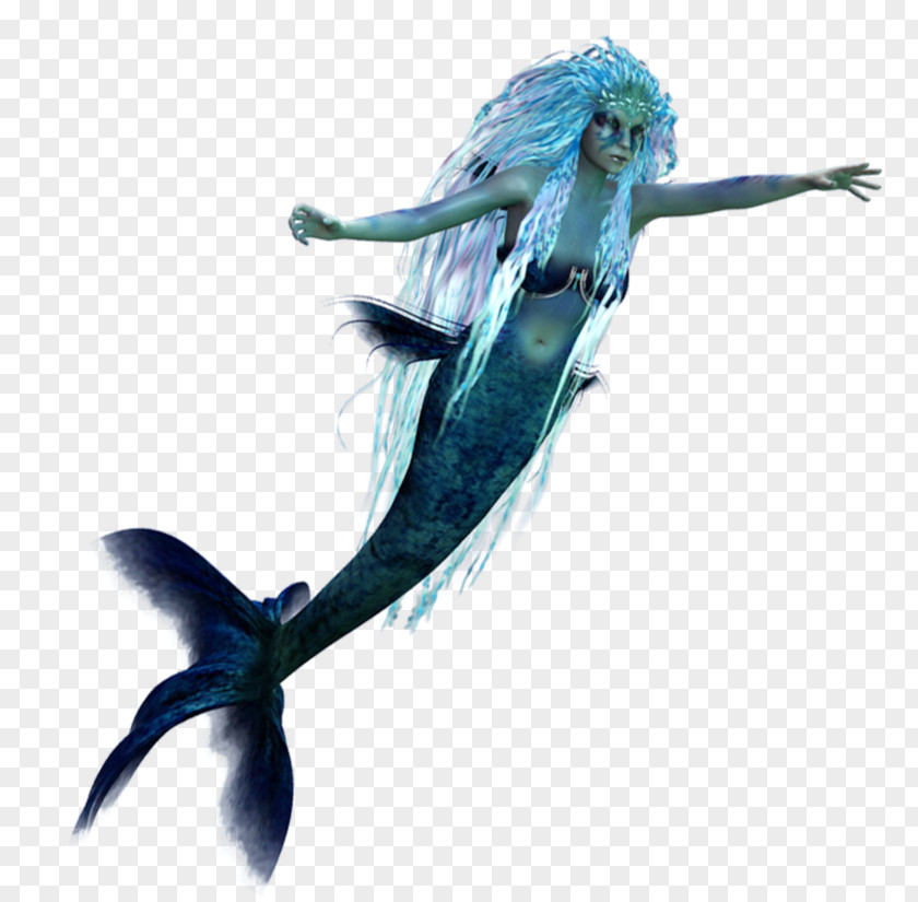 Mermaid Tail Art Finfolk PNG