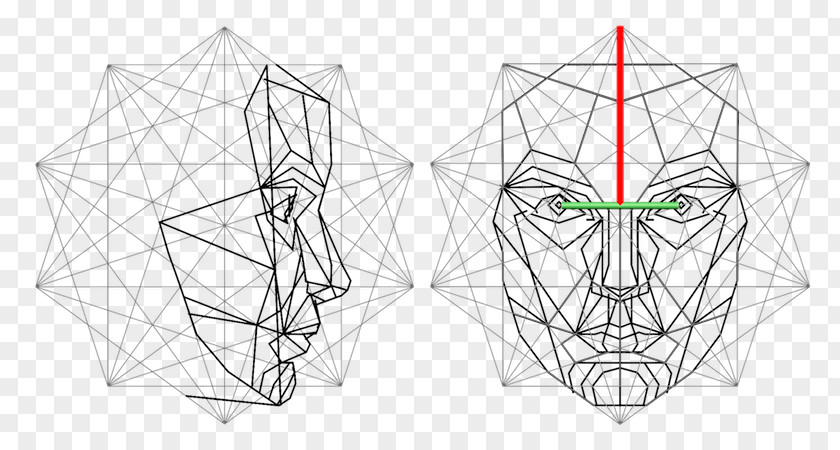 Anatomy Human Face Graphic Golden Ratio Vitruvian Man Mathematics PNG