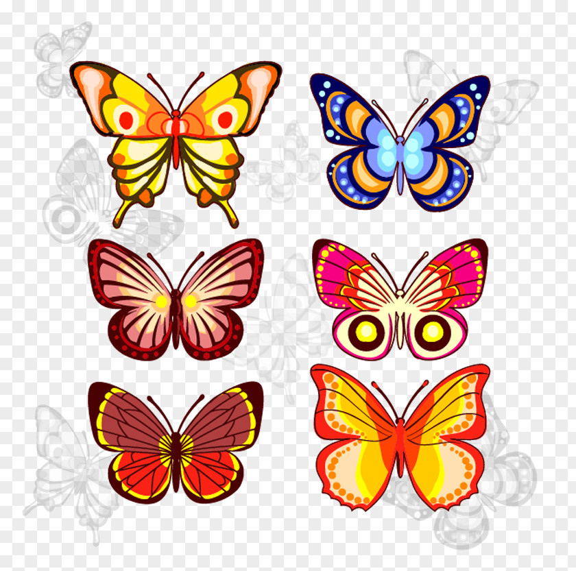 Butterfly Insect Wing Bird PNG