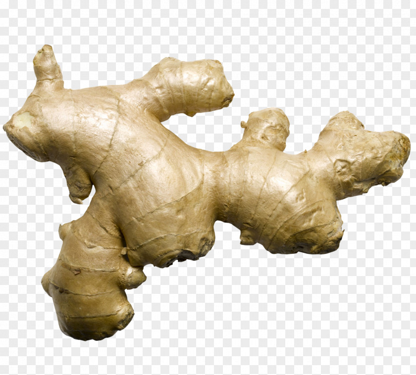 Ginger Juice Tea Ale Herb PNG