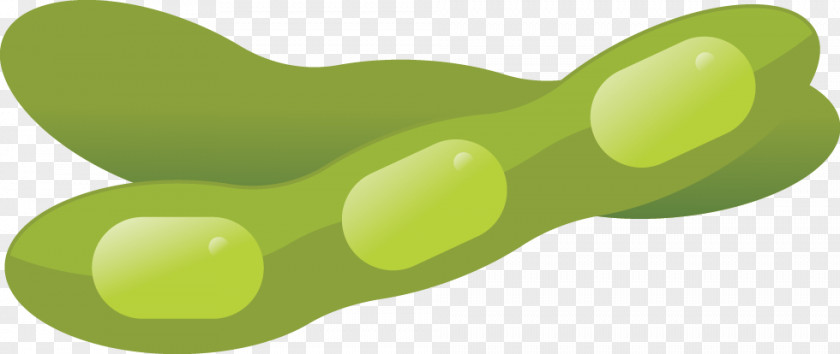 Soy Allergy Soybean Edamame Anaphylaxis PNG