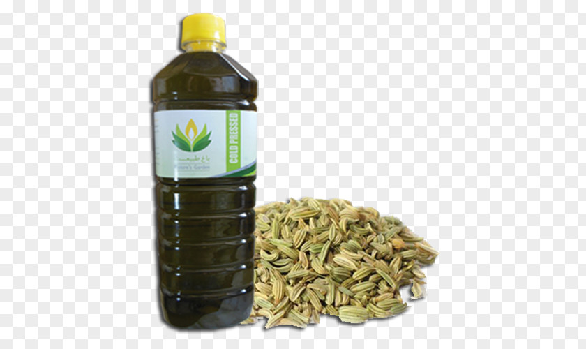 Fennel Organic Food Cumin Seed Ajwain PNG