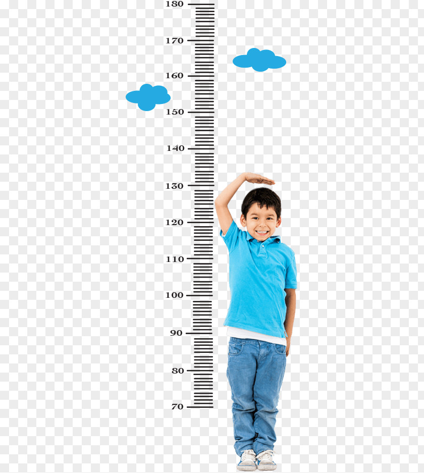 Height Measurement Measuring Child Human PNG
