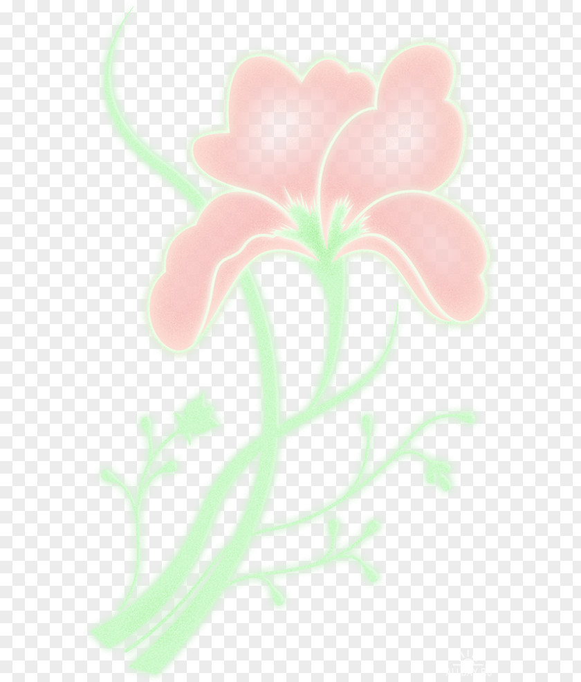 Leaf Rose Family Floral Design Petal Desktop Wallpaper PNG
