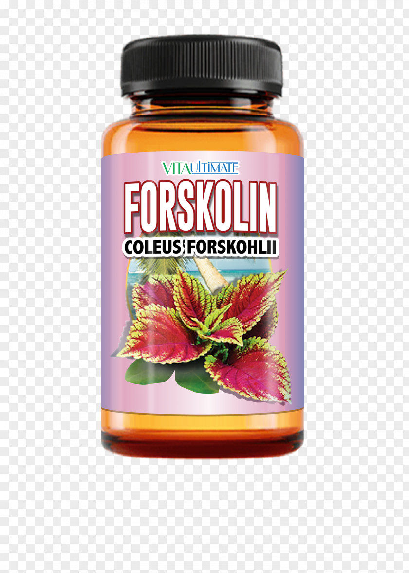 Live The Lifestyle Weight Management Dietary Supplement Forskolin Loss Plectranthus Barbatus Capsule PNG