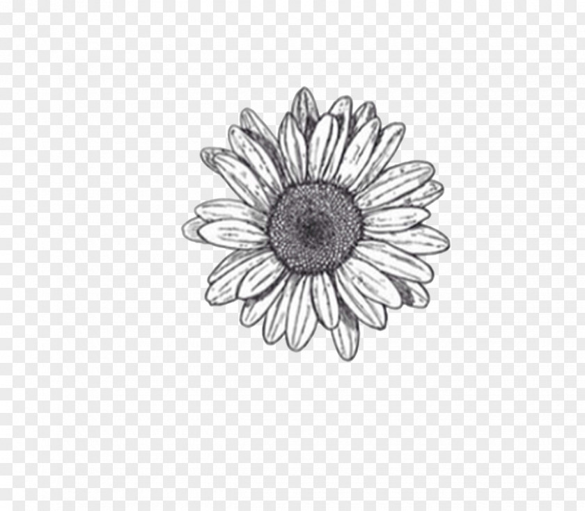 Flower Drawings Sketch PNG