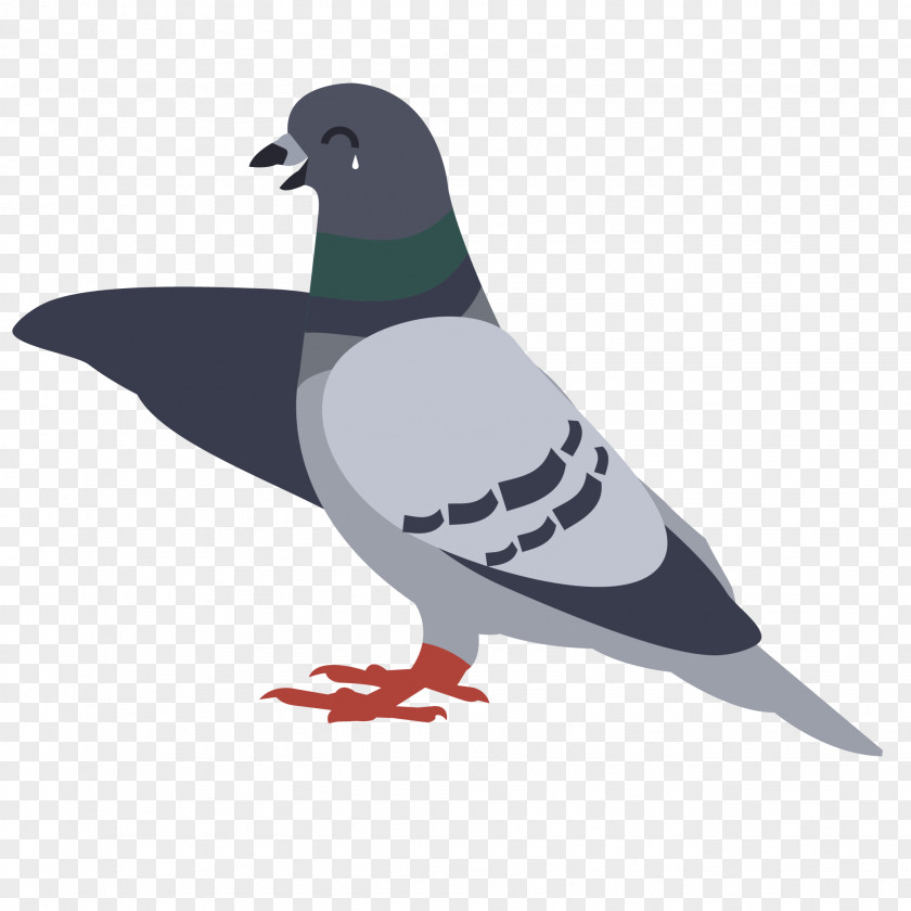 Rock Pigeon Pigeons And Doves PicsArt Photo Studio Image Clip Art Archangel PNG