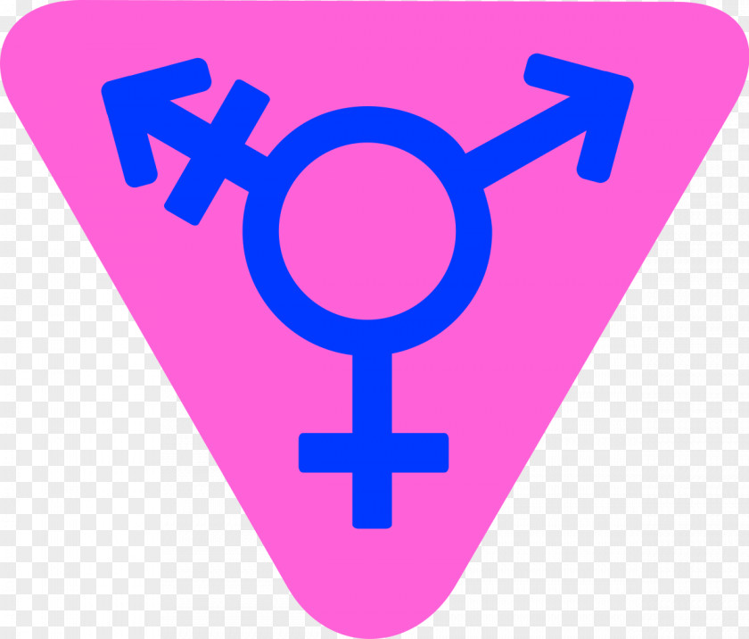 T-shirt Transgender Transsexualism Gender Identity Trans Woman Feminism PNG