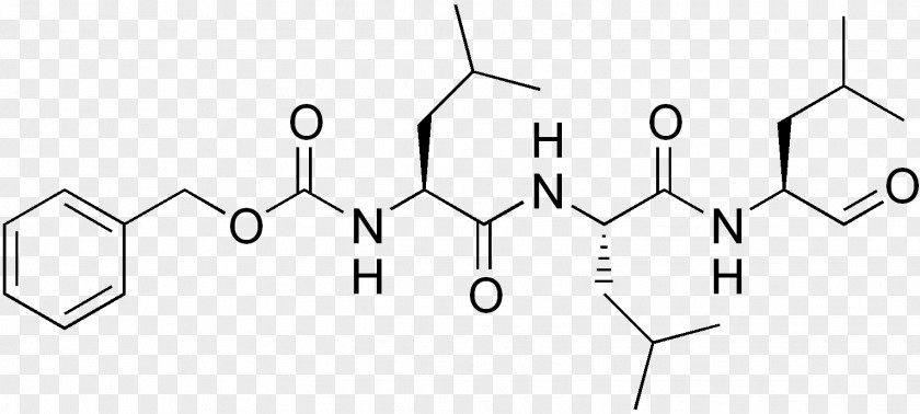 Acid MG132 Proteasome Inhibitor Ubiquitin Cell PNG