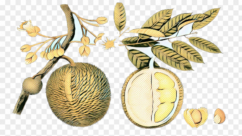 Artocarpus Leaf Tree Of Life PNG