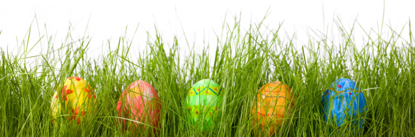 Beautiful Easter Eggs In Grass Bunny Red Egg Hunt PNG