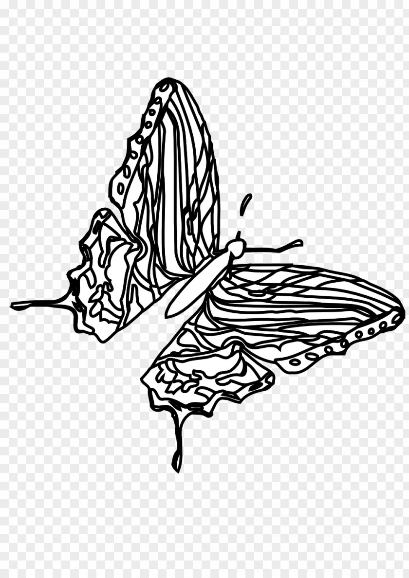 Black Butterfly And White Coloring Book Clip Art PNG