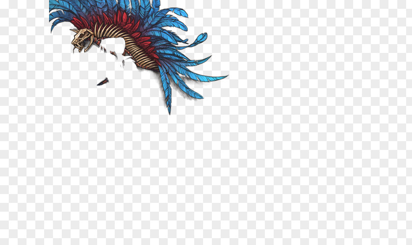 Headdress Feather Desktop Wallpaper Beak PNG