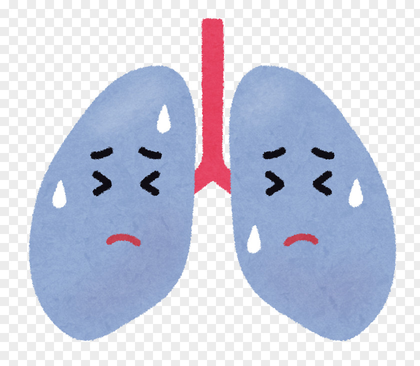Lung Mycoplasma Pneumonia Chronic Obstructive Pulmonary Disease PNG