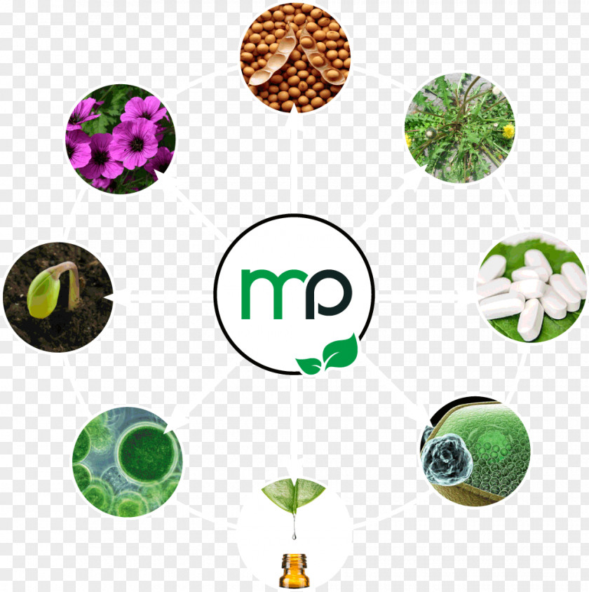 Pep Micropep Technologies Application Domain TWB Toulouse White Biotechnology Bioproduction PNG