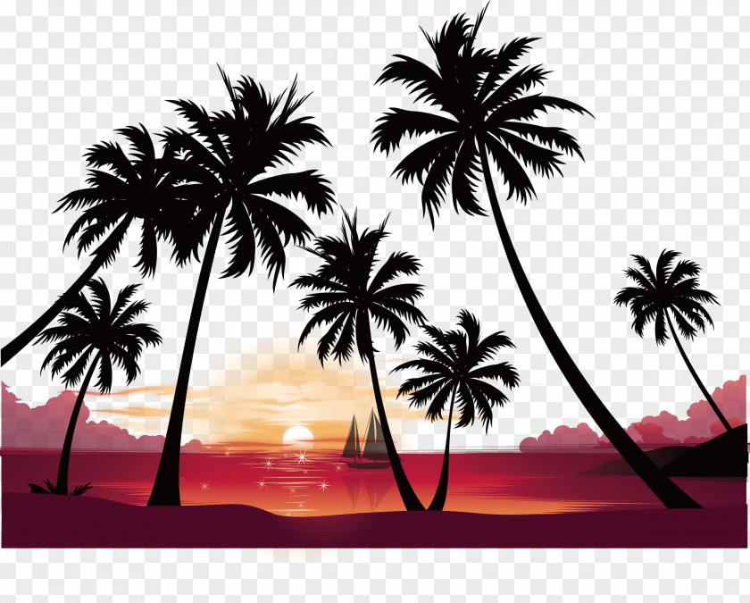 Seaside Sunset Coconut Tree Vector High-definition Video Image Resolution Wallpaper PNG