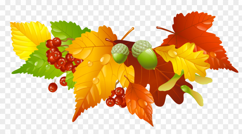 Autumn Leaves And Acorns Decor Picture Leaf Color Clip Art PNG
