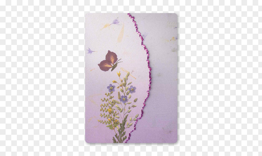 Creative Stationery Brush-footed Butterflies Butterfly Gardening PNG
