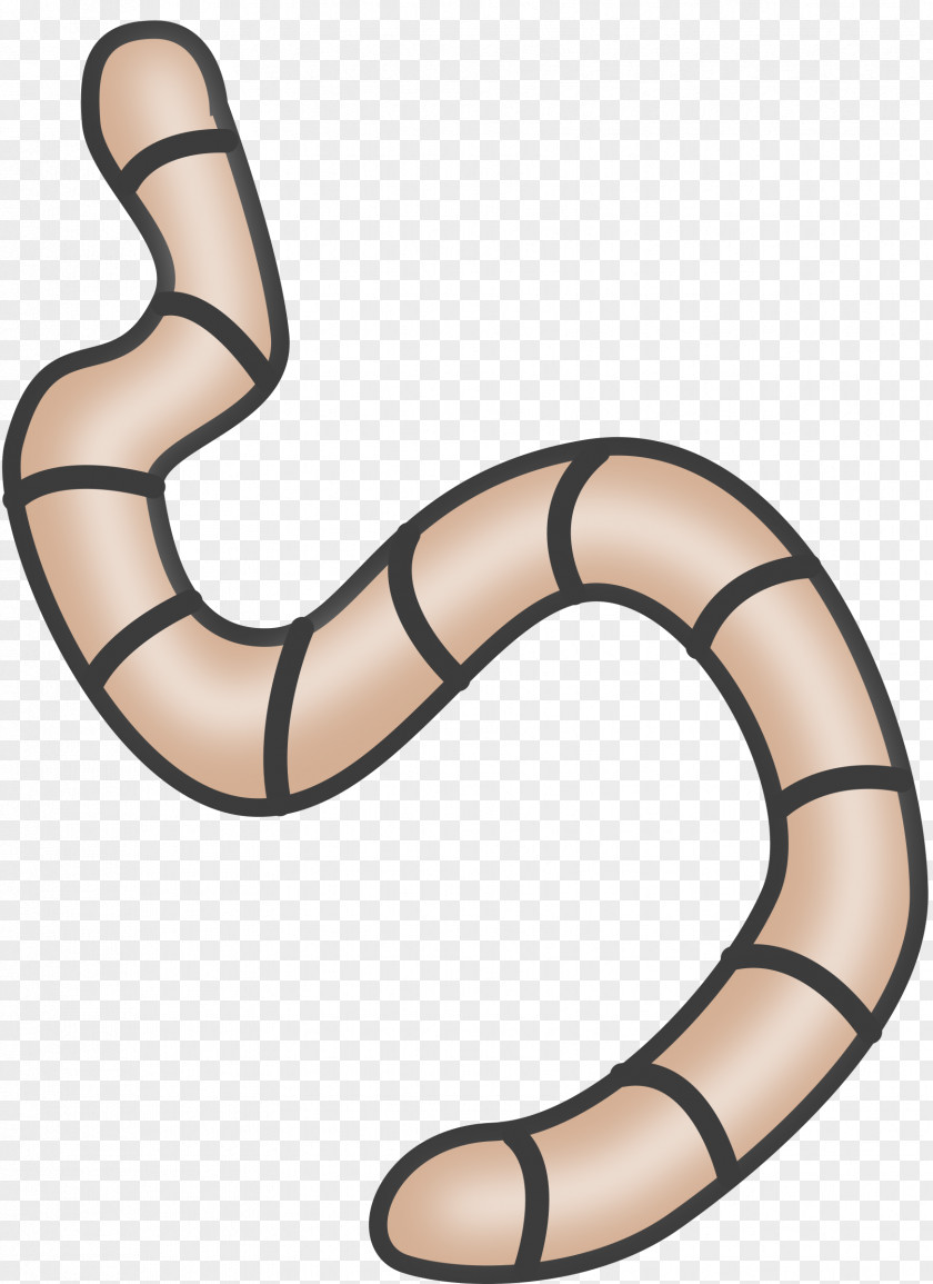 Decomposer Cliparts Earthworm Free Content Clip Art PNG