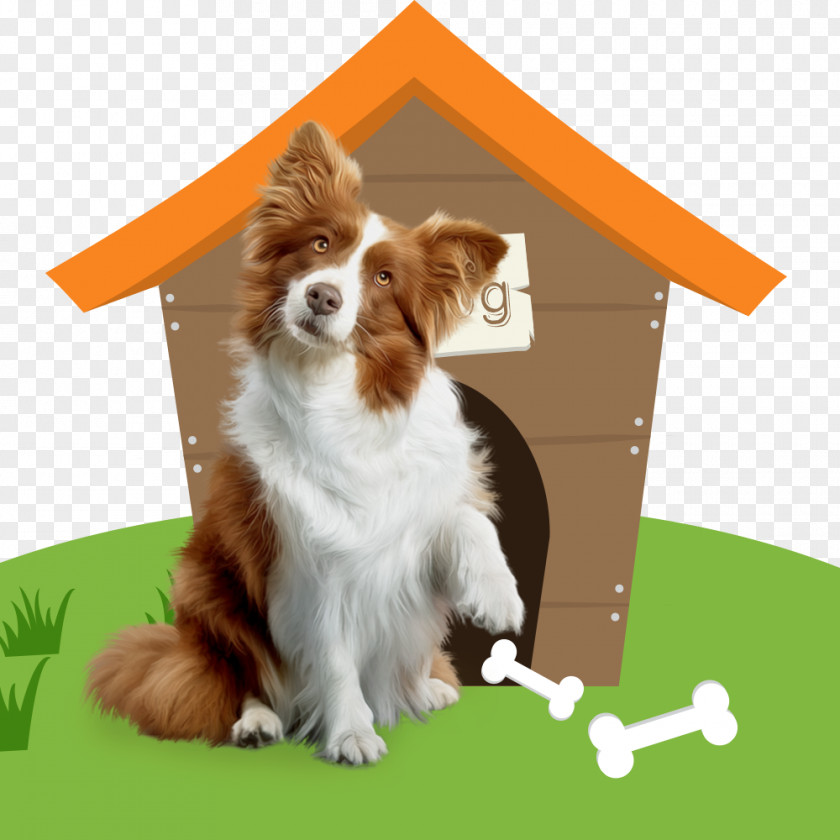 Pet House Dog Breed Cat Companion PNG