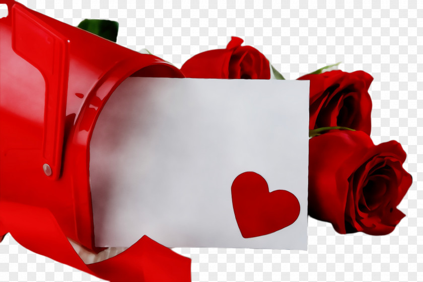 Plant Carmine Valentine's Day PNG