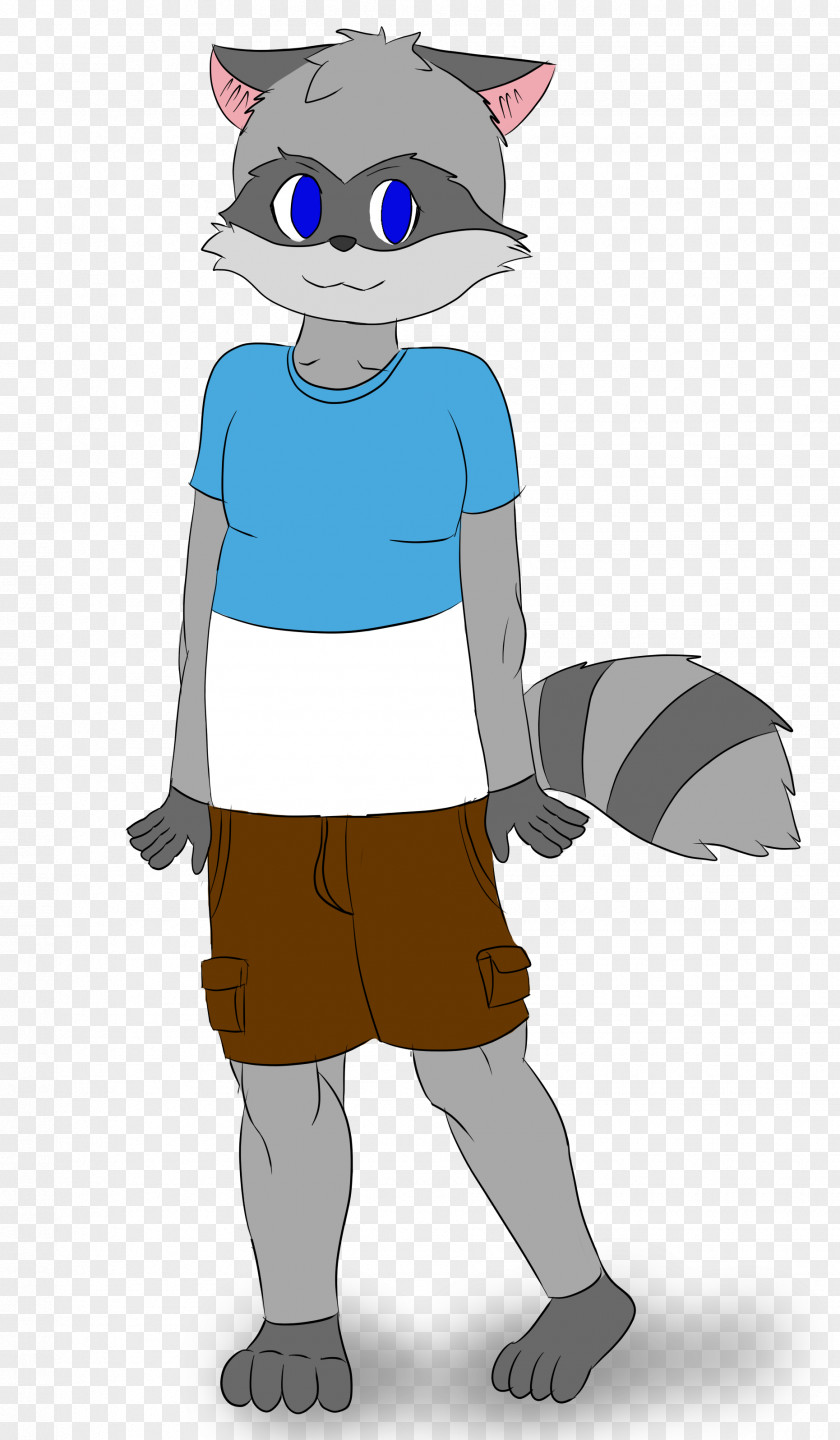 Raccoon Cat Costume Clothing Mammal PNG