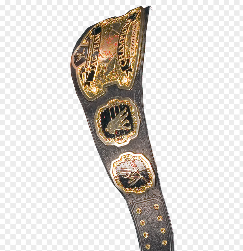 ROH World Tag Team Championship WWE SmackDown Intercontinental Raw PNG Championship, others clipart PNG
