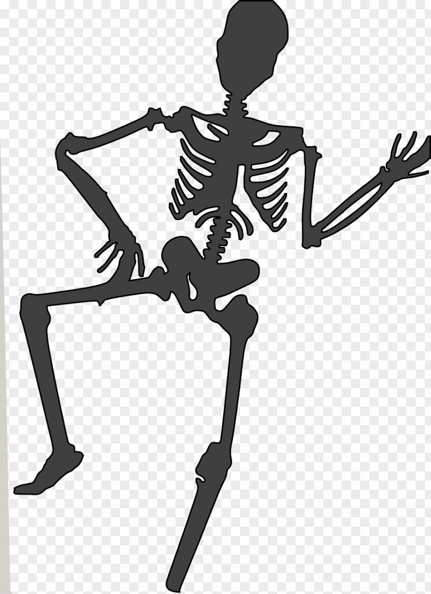 Skeleton Human Dance Drawing Clip Art PNG