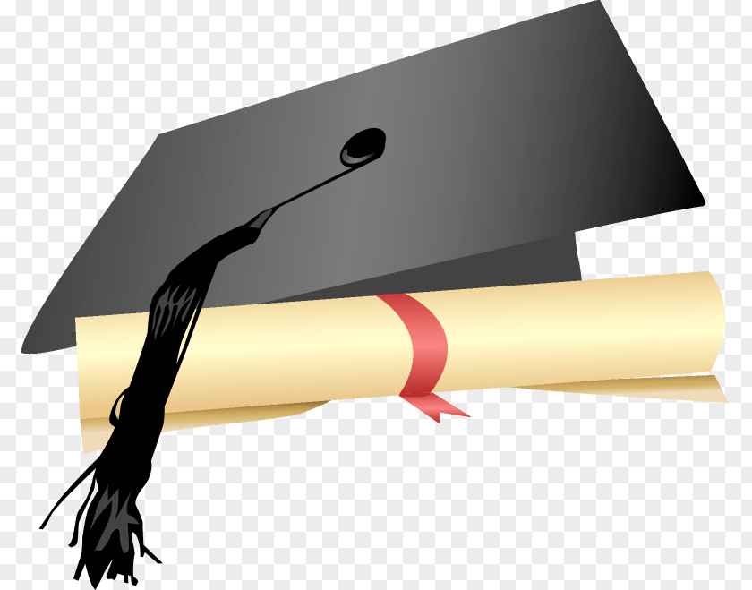 Cardboard Battle Shots Academic Dress Square Cap Hat Graduation Ceremony PNG