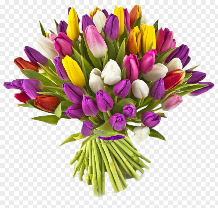 Floristry Crocus Flower Cut Flowers Plant Tulip Flowering PNG