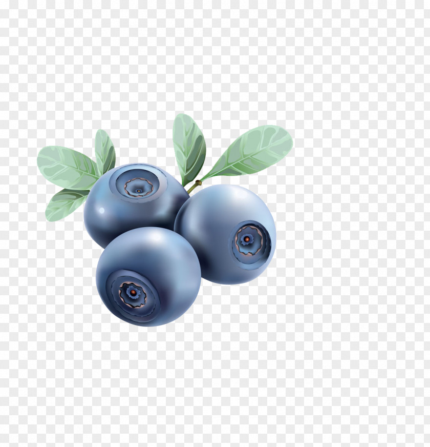 Hand Painted Graphic Design Arbutin Blueberry Material Euclidean Vector Food Illustration PNG