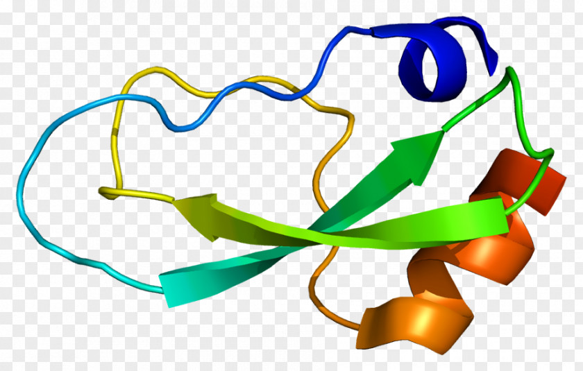 Collagen, Type VI, Alpha 3 Collagen VI I Protein PNG