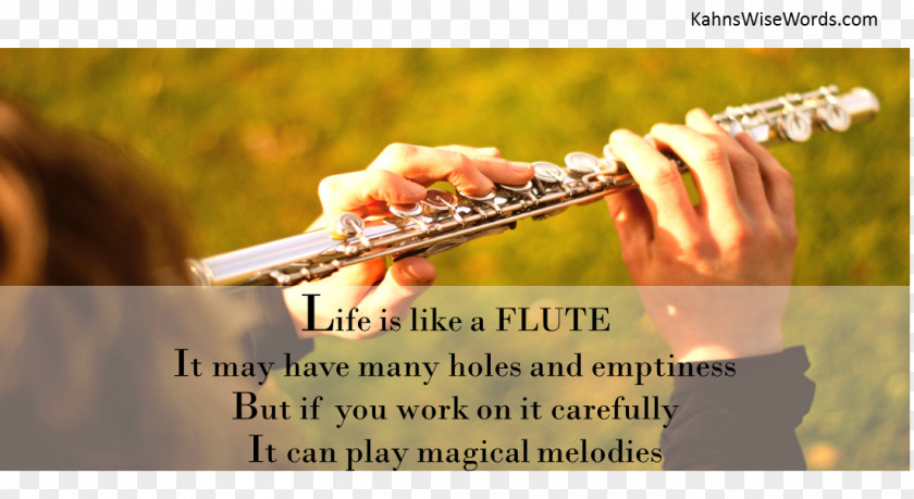 Flute Woodwind Instrument Musician Musical Instruments PNG
