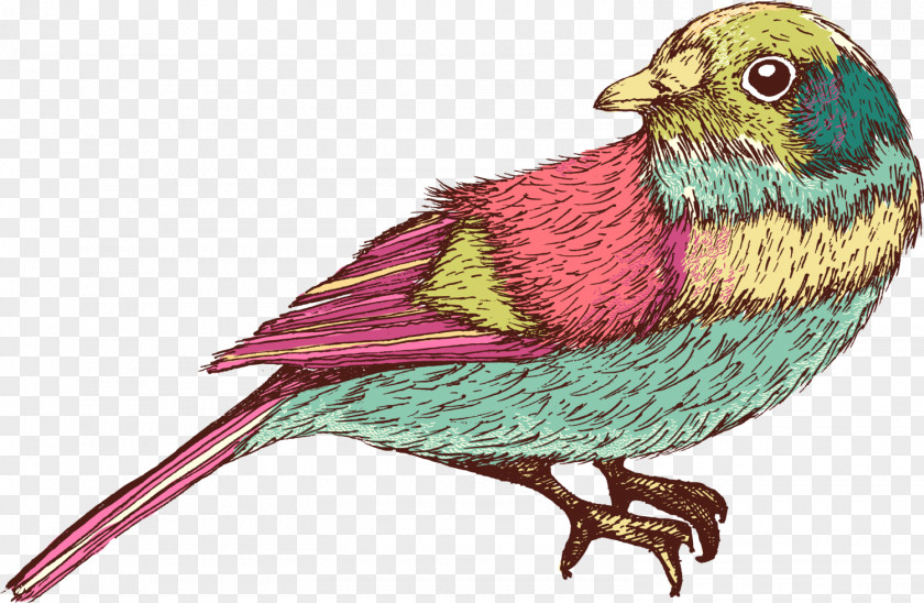 Green Hand Painted Birdie Bird Soldiner Kiez PNG