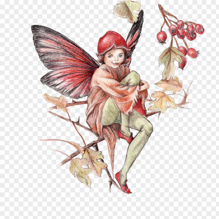 Hand Painted Fairy Illustrations Flower Fairies Illustration PNG