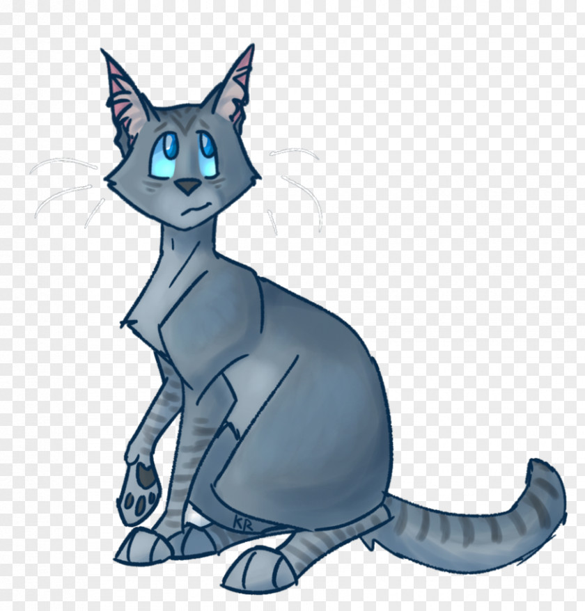 Kitten Whiskers Korat Domestic Short-haired Cat Tabby PNG