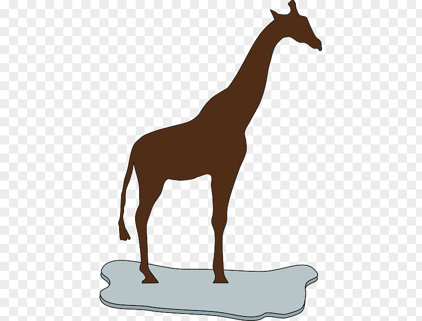 Long Neck Clip Art Image Vector Graphics Northern Giraffe Mammal PNG