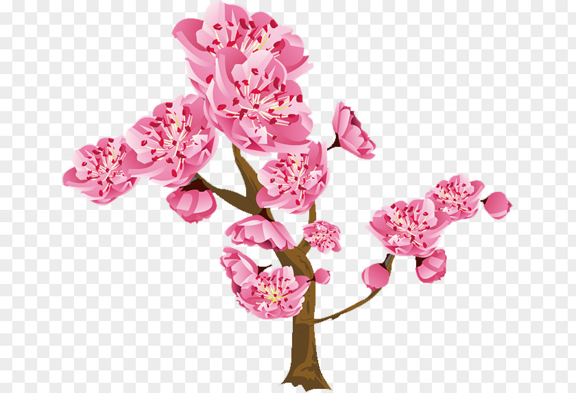 Peach Blossom Floral Design Flower PNG