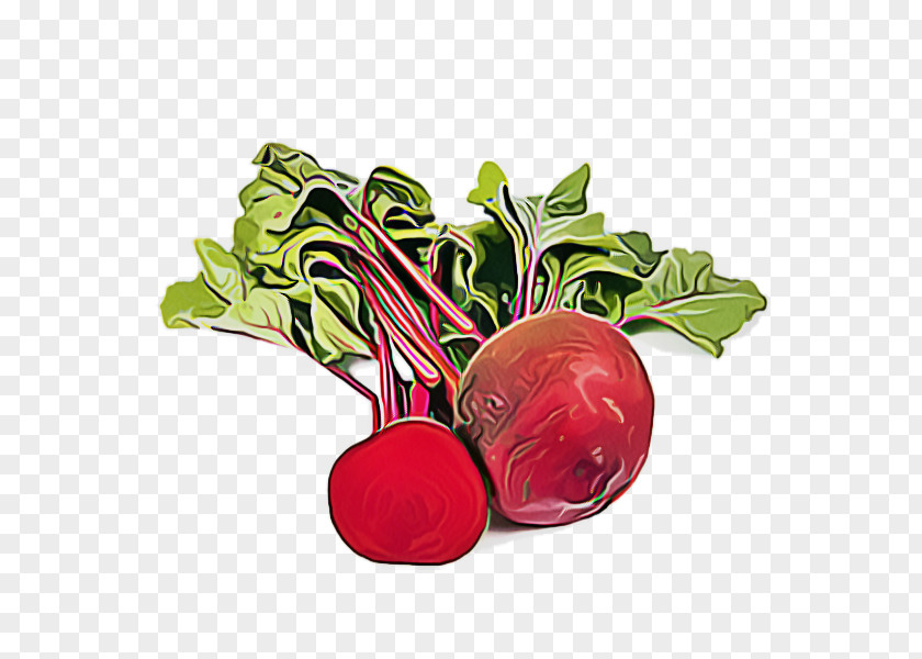 Superfood Leaf Vegetable Radish Beetroot Beet Food PNG