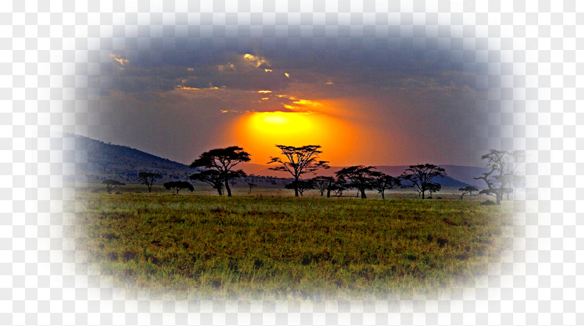 Africa Savanna Desktop Wallpaper Grassland Sunset PNG