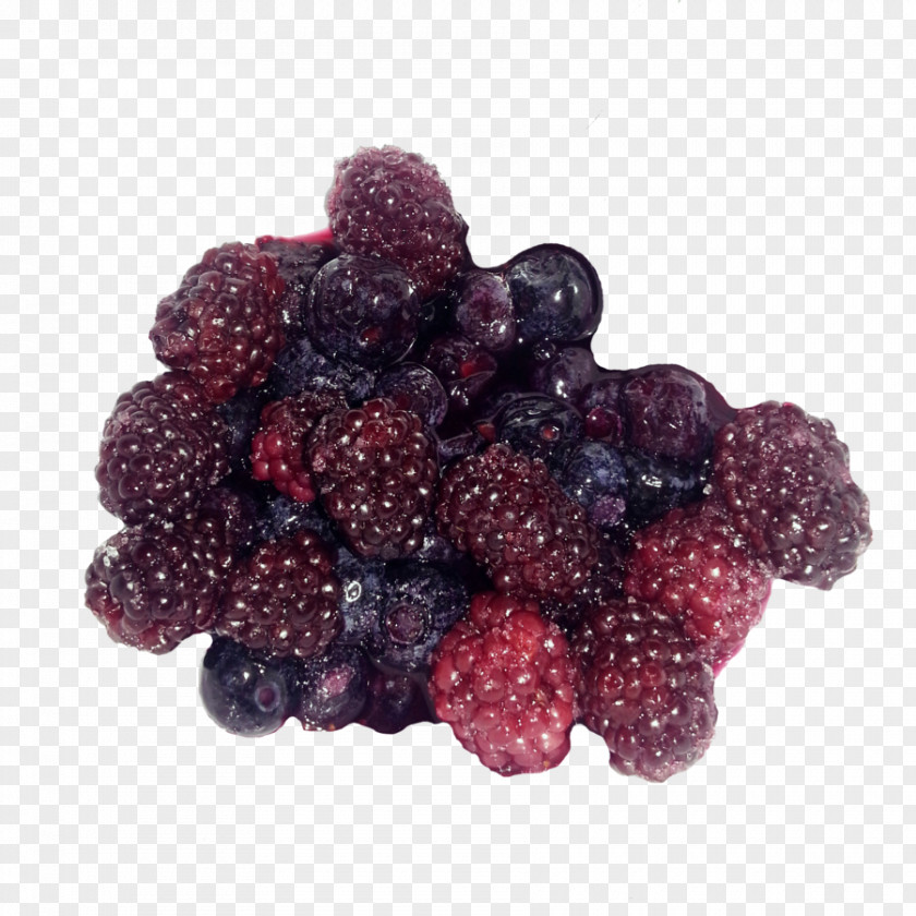 Berries Boysenberry Loganberry Raspberry PNG