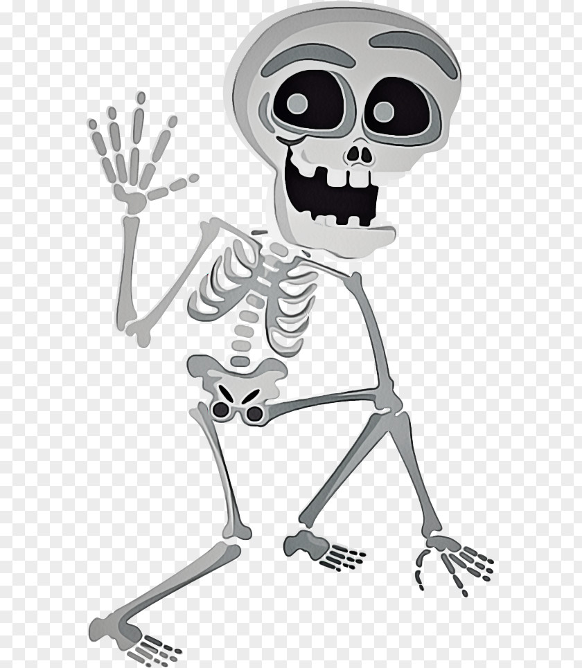 Bone Skeleton Clip Art PNG