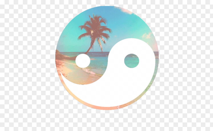 Fruit Splash Yin And Yang Drawing Symbol Desktop Wallpaper PNG