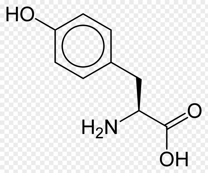 Lysine Amino Acid Isoleucine Glutamic PNG