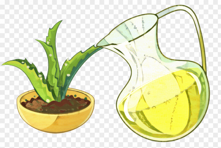Perennial Plant Xanthorrhoeaceae Aloe Vera PNG