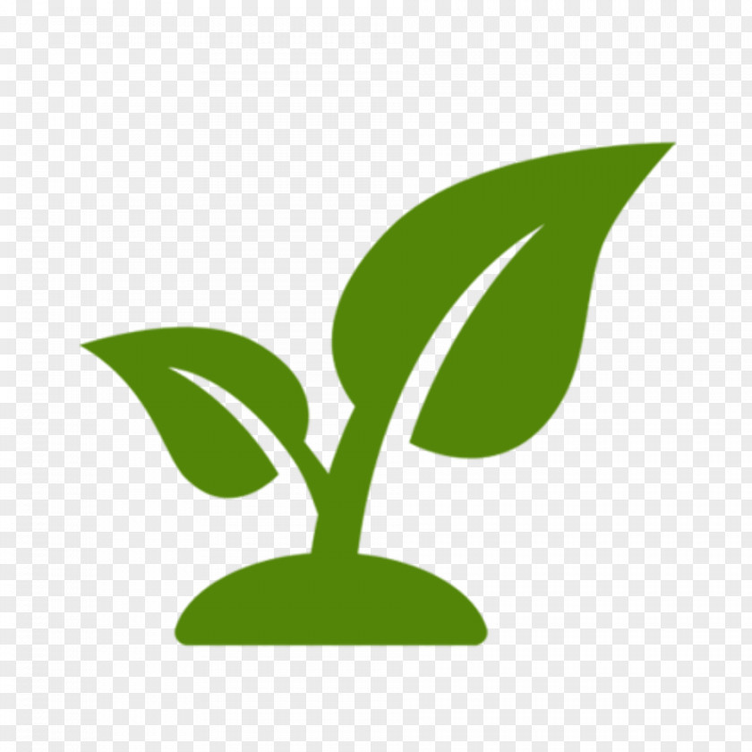 Plants Leaf Garden Seedling PNG