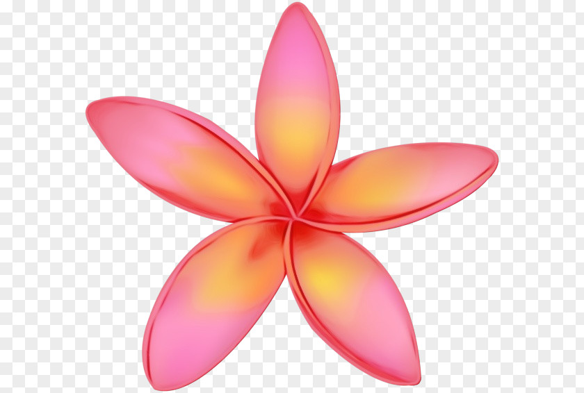 Water Lily Magenta Petal Frangipani Pink Flower Plant PNG