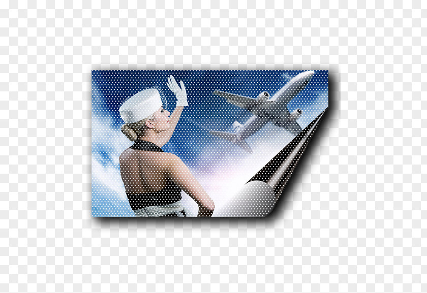 Airplane Flight Attendant Airline Aircraft Cabin PNG
