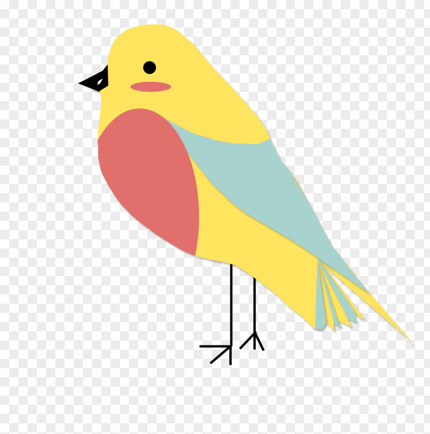 Bird Download Animal PNG