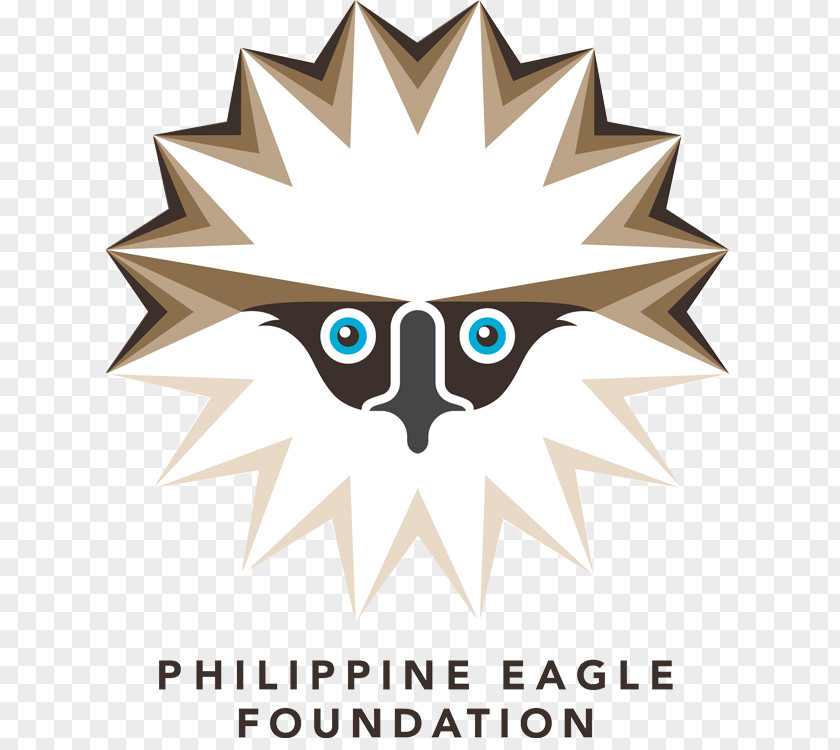 Eagle The Philippine Foundation Bird Of Prey PNG